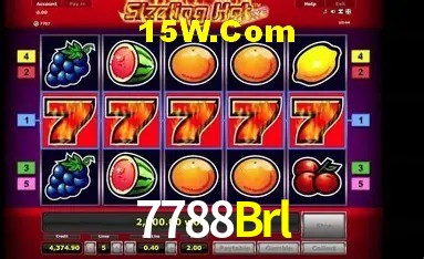 Sistemas de Segurança 7788Brl
